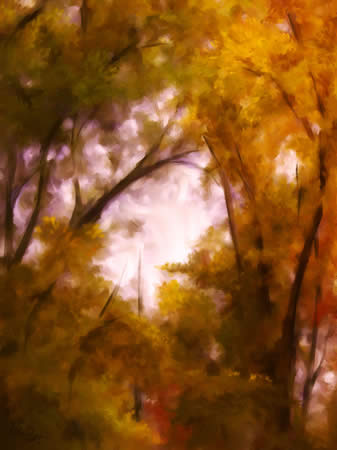 Autumn Glow © 2007 Chris Price & Studio|chris