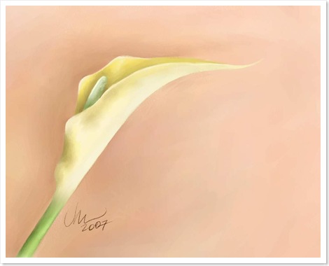 calla lily paintings