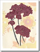 Tony - Barb's Flowers 