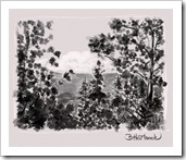 Barb Hartsook - Forest Drawing