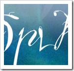 Client Website Launch: Splash Designs