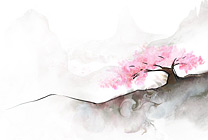 Wet Plum Thumbnail